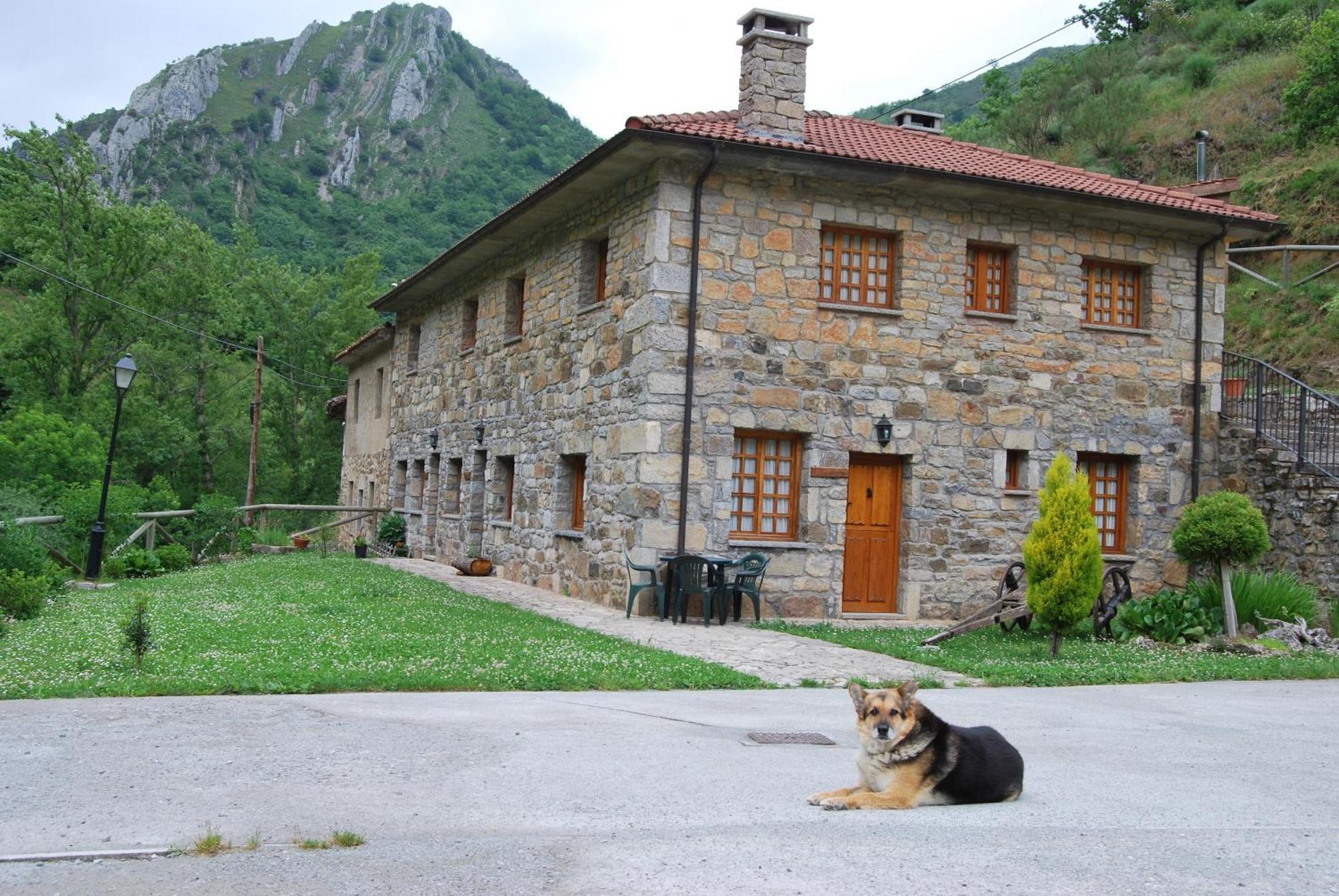 Apartamentos Rurales Casa Marcelo Veigas Dış mekan fotoğraf