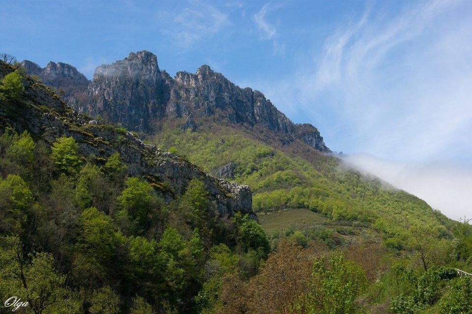 Apartamentos Rurales Casa Marcelo Veigas Dış mekan fotoğraf