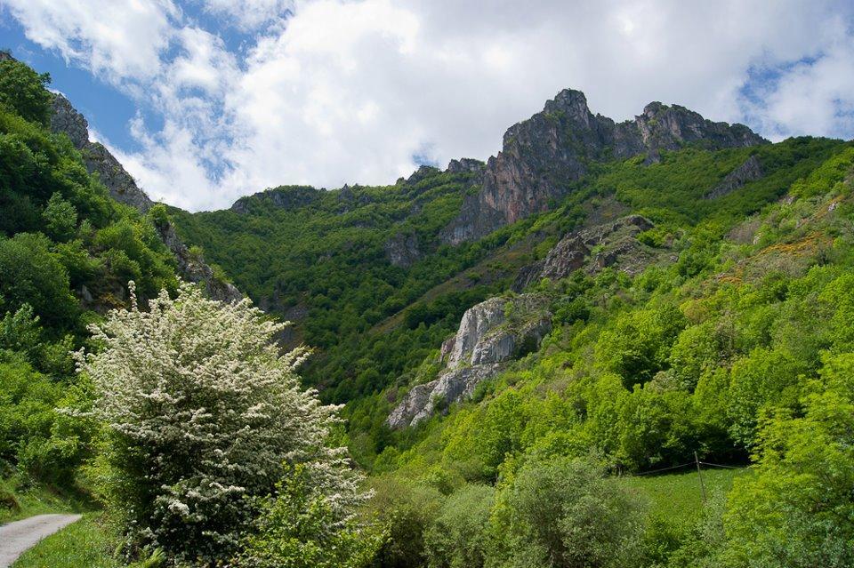 Apartamentos Rurales Casa Marcelo Veigas Dış mekan fotoğraf